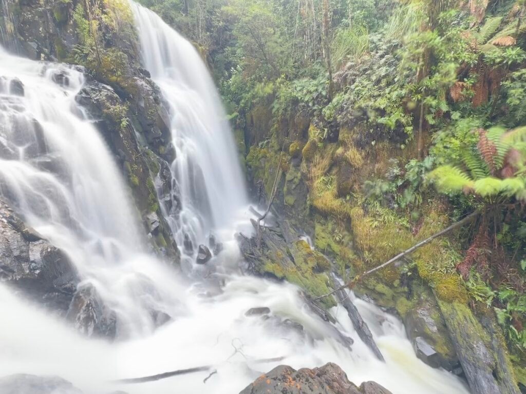 Compton Falls, Huon Valley, Tasmania