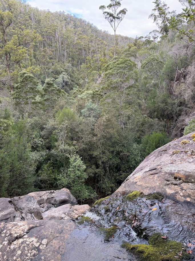 Top of Dora Falls